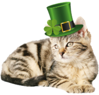 a st. patrick's day kitty 